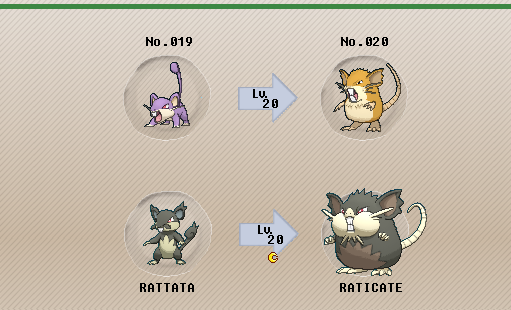 Pokemon 16020 Alolan Raticate Pokedex: Evolution, Moves, Location, Stats