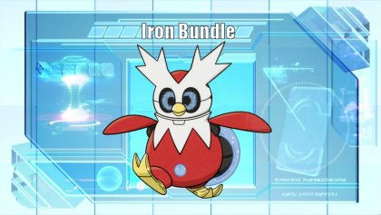 Iron Bundle