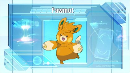 Pawmot