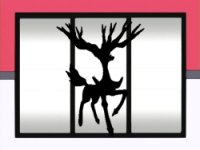 Pok�mon of the Week