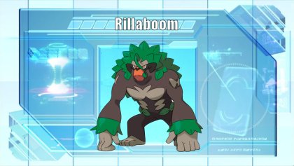 Rillaboom, Pokémon