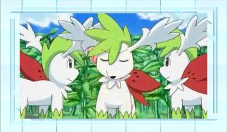 Shaymin-Sky Analysis