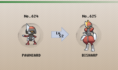 Bisharp evolution guide