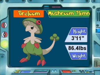 Pokémon of Day - Breloom