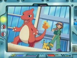 ~The Firey pokemon Club~