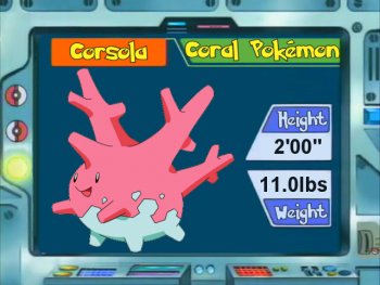 Corsola