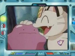 Ditto Transforms Into 5 More Pokémon as Capsule Toys - Interest - Anime  News Network