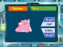 Ditto