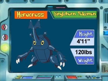 Heracross