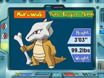 Pokémon of Day - Marowak