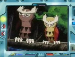 [Resim: Noctowl-Anime.jpg]