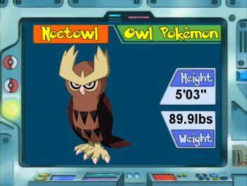 Noctowl