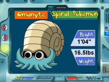 Omanyte