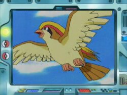 [Resim: Pidgeot-Anime.jpg]