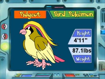 Pidgeot