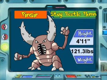 Pinsir