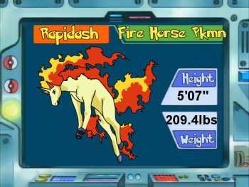 Rapidash