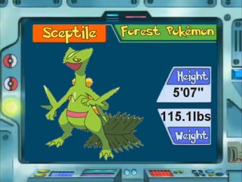 Pokémon the Day Sceptile