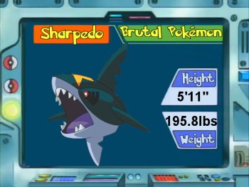 Sharpedo