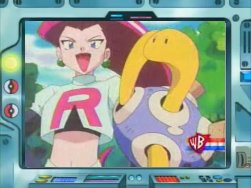 ??The League of Shuckle Enthusiasts??