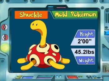 Shuckle