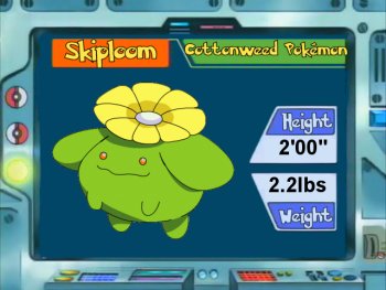 Skiploom