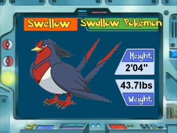 Swellow