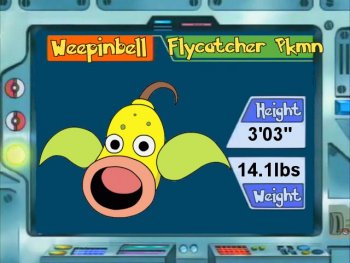 Weepinbell