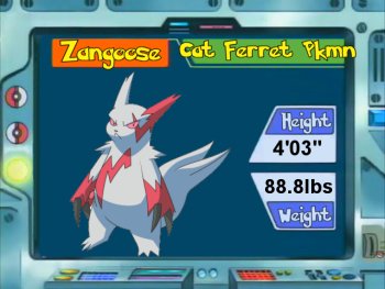 Zangoose