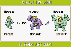 of the Day - Machamp