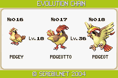 Pokemon Pidgey Evolution 6