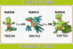 Pokémon the Day Sceptile