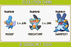 The best team for Pokemon Emerald with Swampert