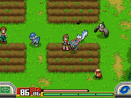 Pokémon Ranger: Shadows of Almia Partners