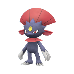 Weavile's gen 9 pokedex image features 5 of them staring