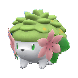 Sky Form Shaymin??? - Miscellaneous Help - Project Pokemon Forums