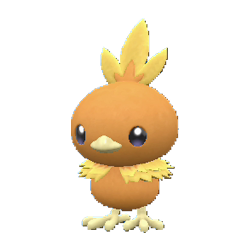 Torchic