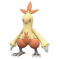 Combusken