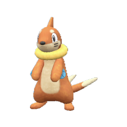 Buizel