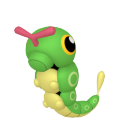Caterpie