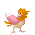 Spearow
