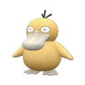 Psyduck