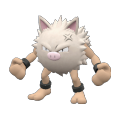 Primeape