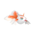 Goldeen