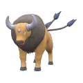 Tauros