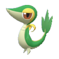 Snivy