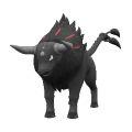 Tauros