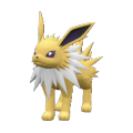 Jolteon