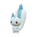 Pachirisu