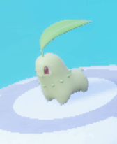 Chikorita - Swim